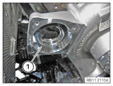 G15141156