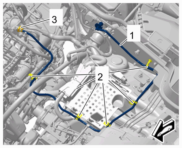 G15144550