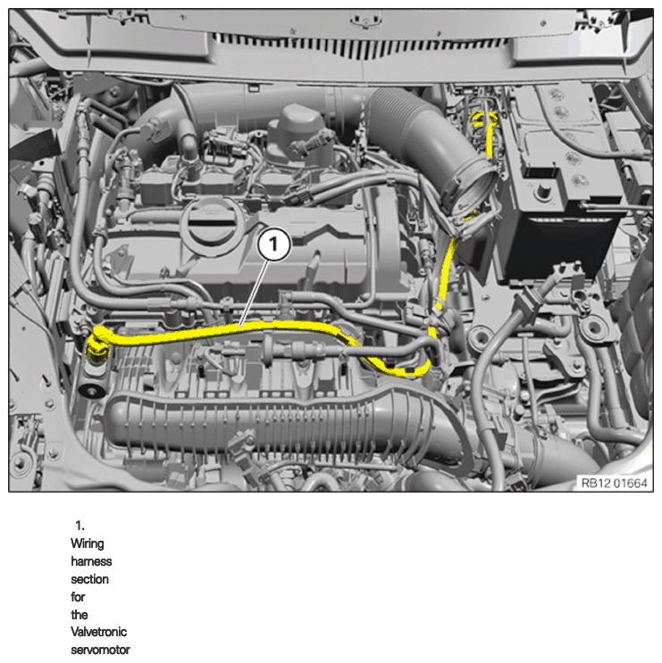G15147996