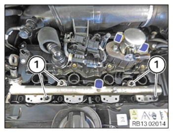 G15148217