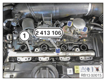 G15148218