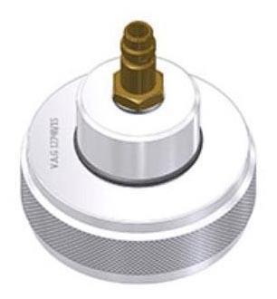 G15149824