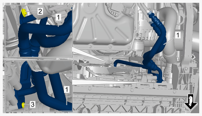 G15149937