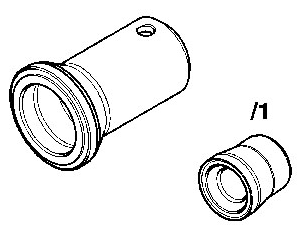 G15152919