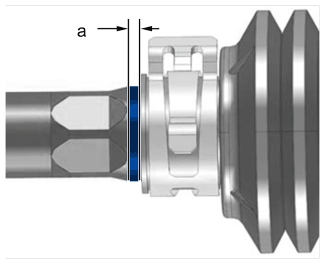 G15155564