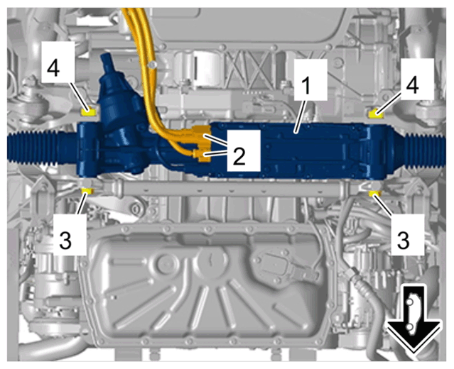 G15155586