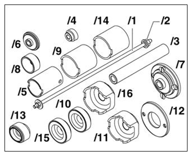 G15155856
