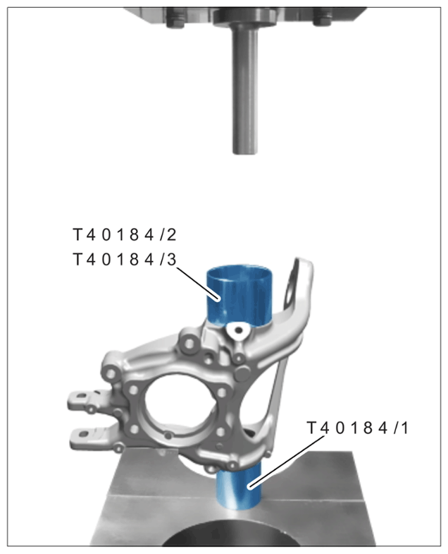 G15155989