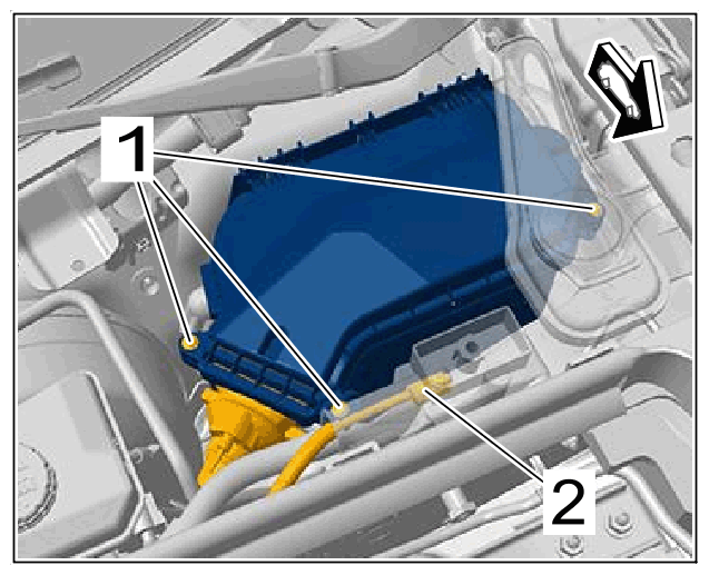 G15163059