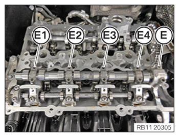 G15167091
