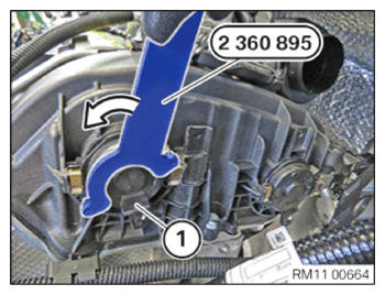 G15168523