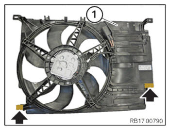 G15169254