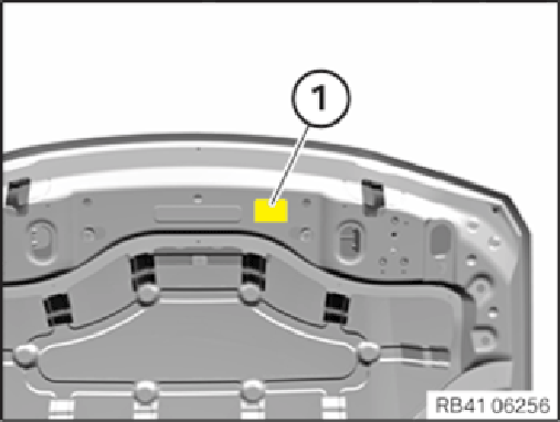 G15171835