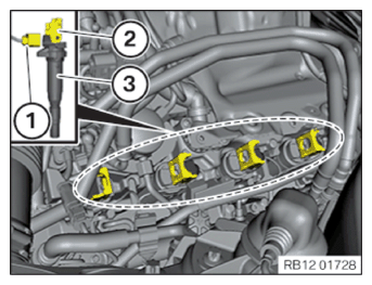 G15178952