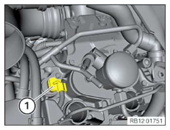 G15179055