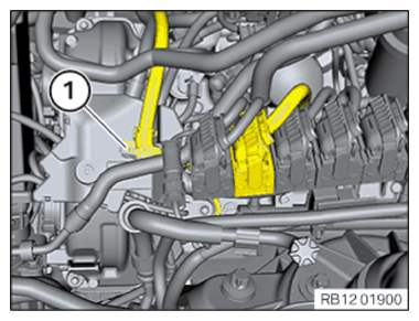 G15179345