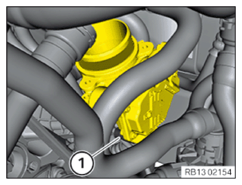 G15179686