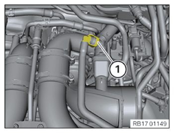 G15179778
