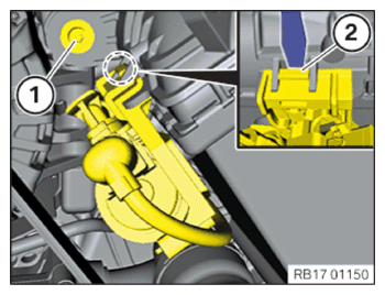 G15179779