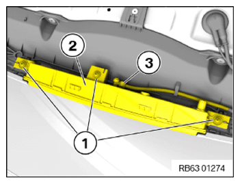 G15185982