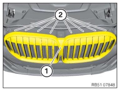 G15193163
