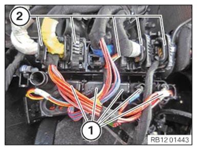 G15193816