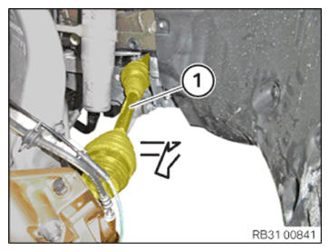 G15194876