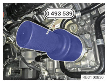 G15194927