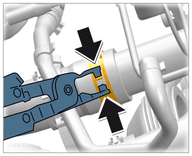G15198171