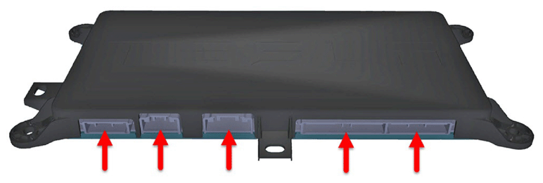 G15202879