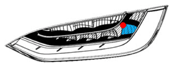 G15203251