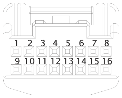 G15219582