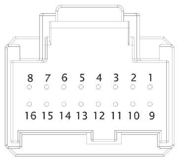 G15219600