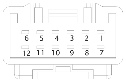 G15219698