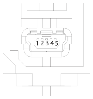 G15219855