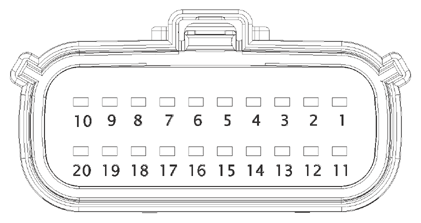 G15219882