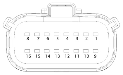 G15219892