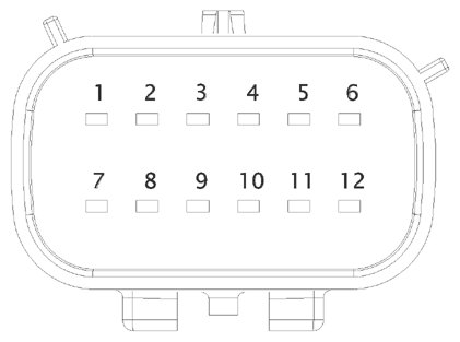 G15219982