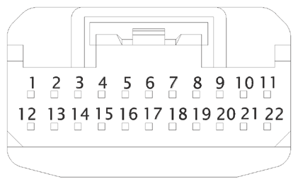 G15219988