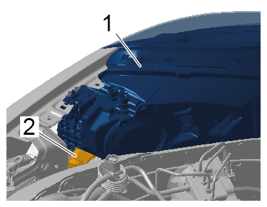 G15231260