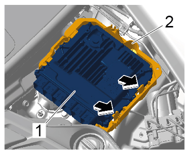 G15241364