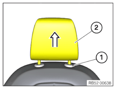 G15242974