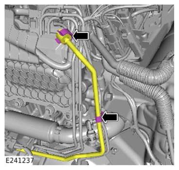 G15246650