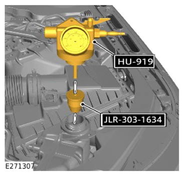 G15255097