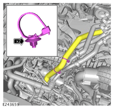 G15255462