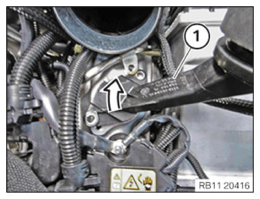 G15264558