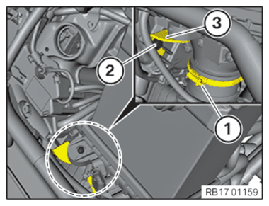 G15264562