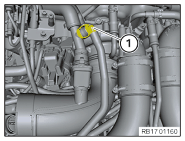 G15264592