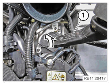 G15264598