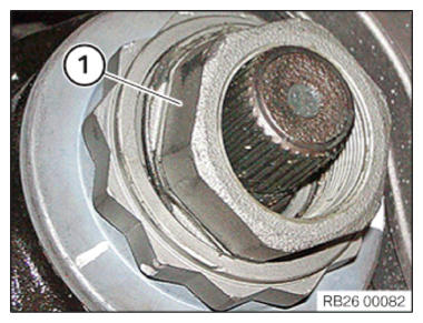 G15264917